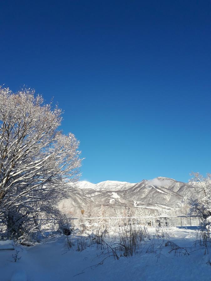Pension Snow Hakuba Exteriér fotografie